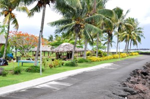 A Samoan waterfront run
