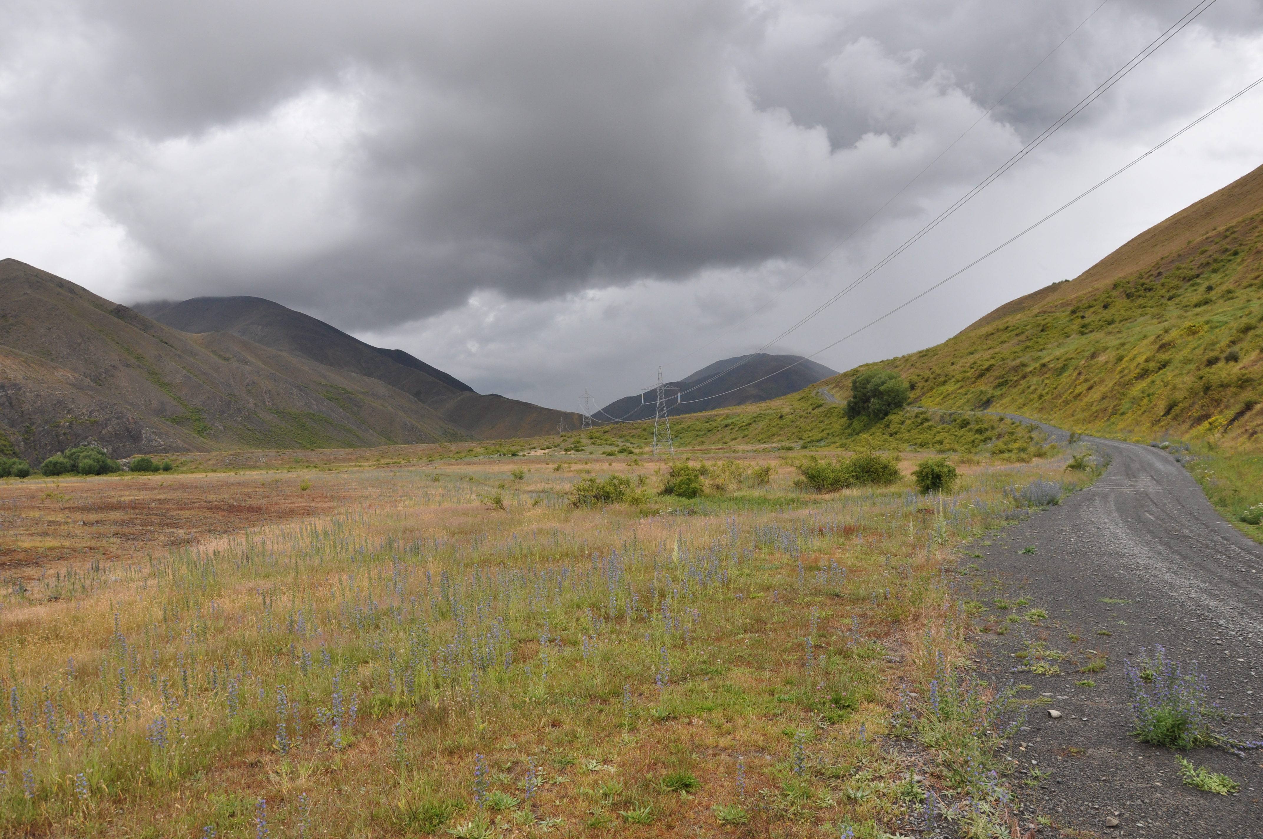 DSC_5632.JPG