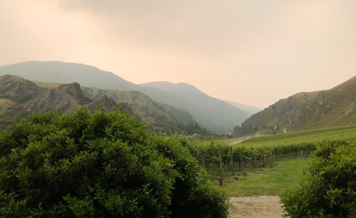 Asleep while the world wakes&nbsp;up