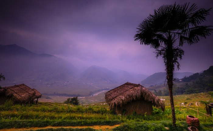 A week in standard 3